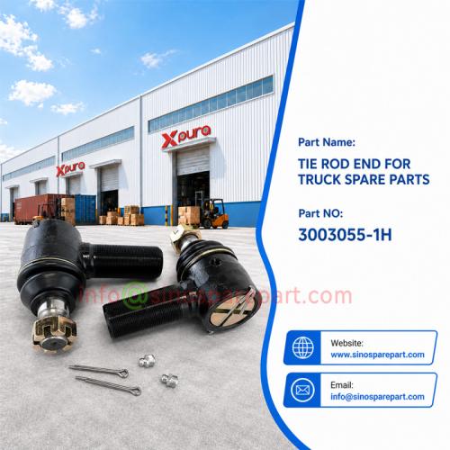 TIE ROD END FOR TRUCK SPARE PARTS 3003055-1H