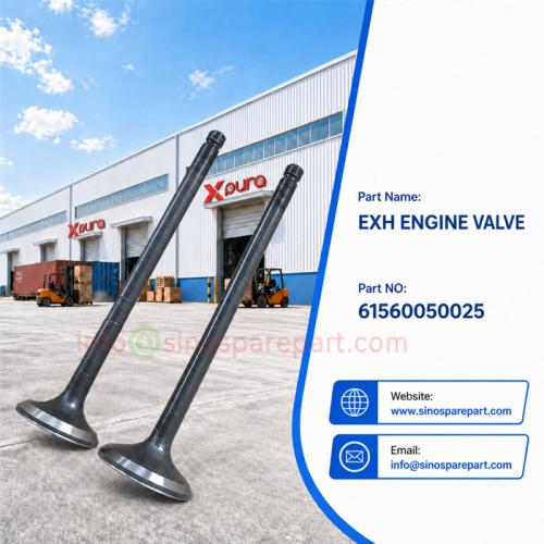 HOWO WD615.95C EXH ENGINE VALVE