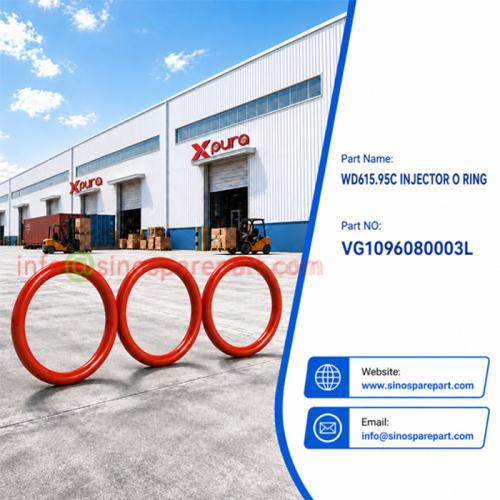 INJECTOR O RING