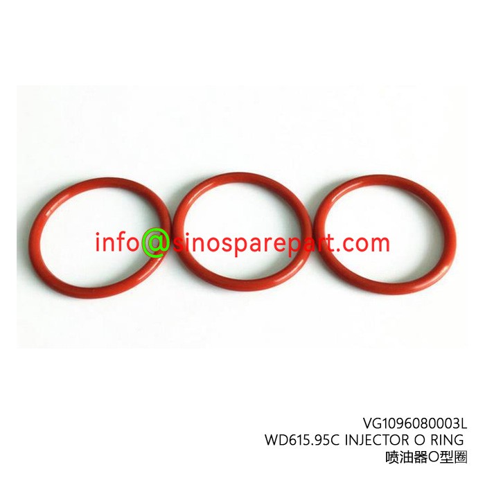 INJECTOR O RING INJECTOR O RING
