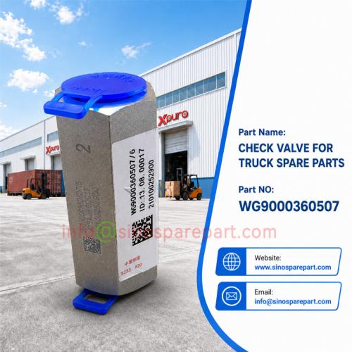 CHECK VALVE FOR TRUCK SPARE PARTS