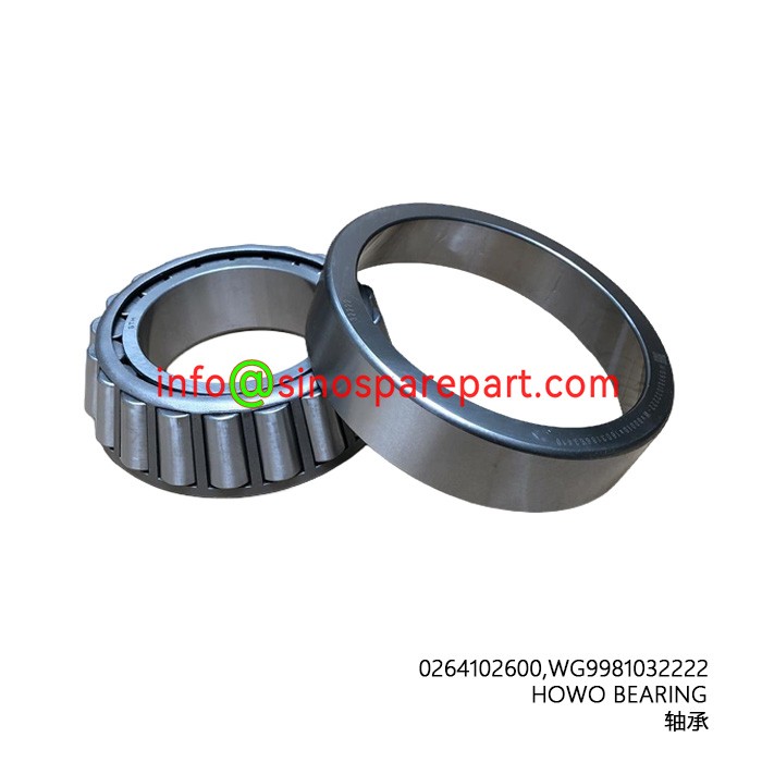 HOWO HC16 BEARING