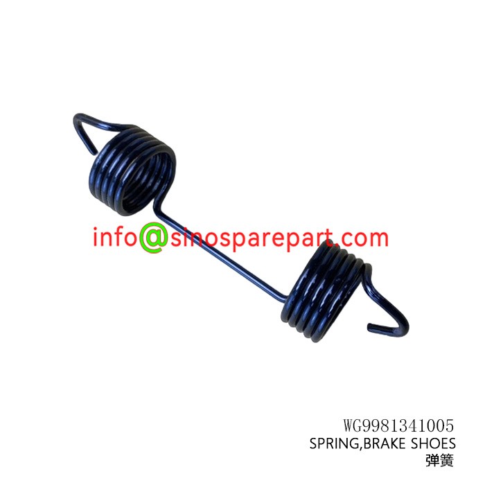SPRING,BRAKE SHOES
