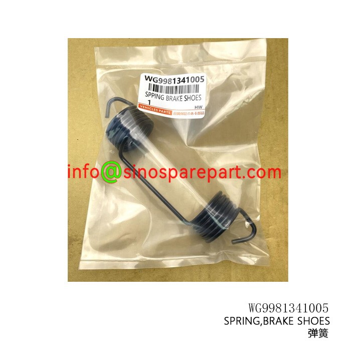 SPRING,BRAKE SHOES